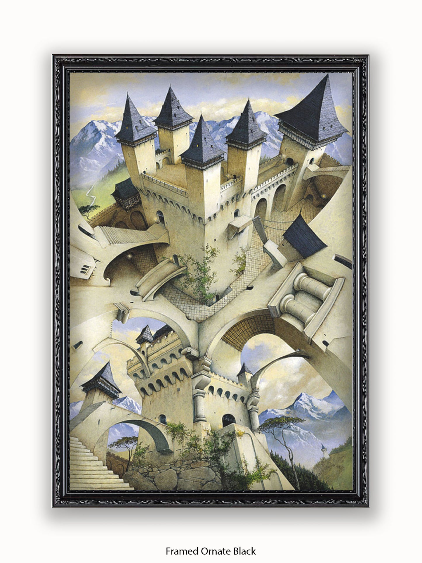 Irvine Peacock Castle Of Illusion Poster
