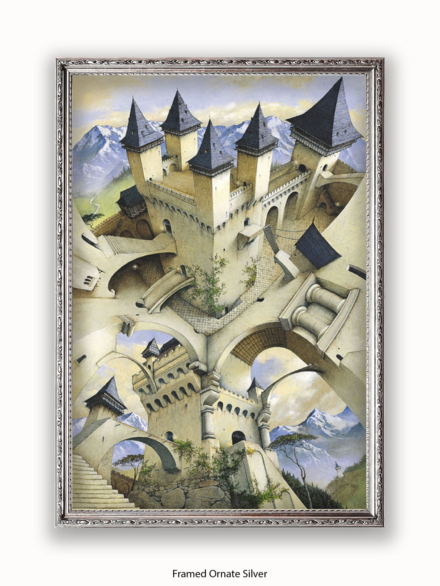 Irvine Peacock Castle Of Illusion Poster