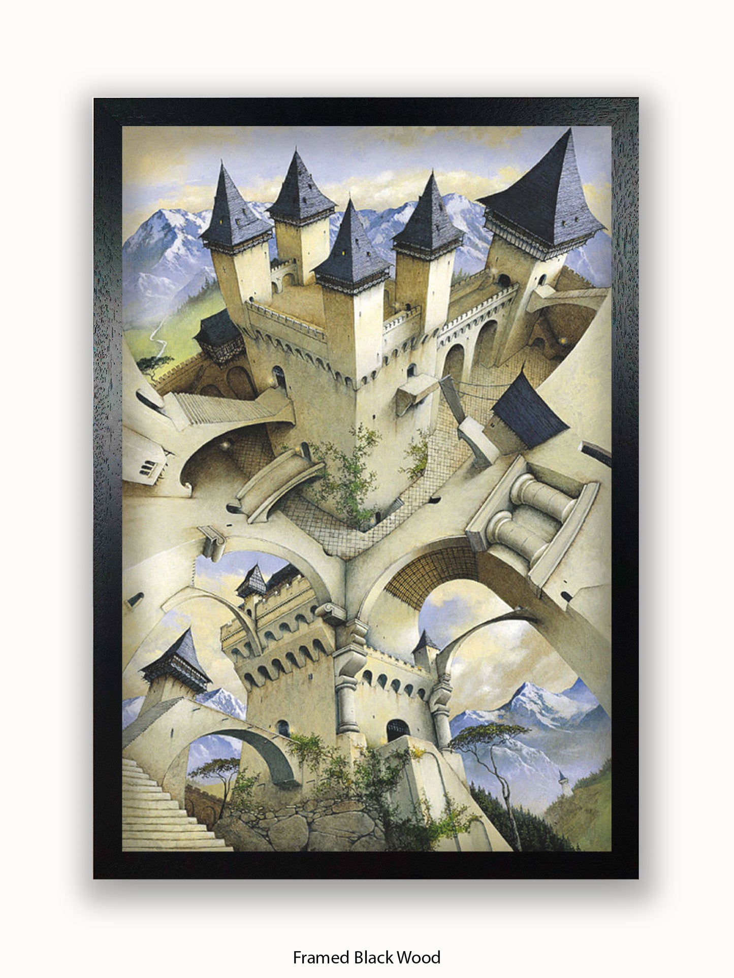 Irvine Peacock Castle Of Illusion Poster