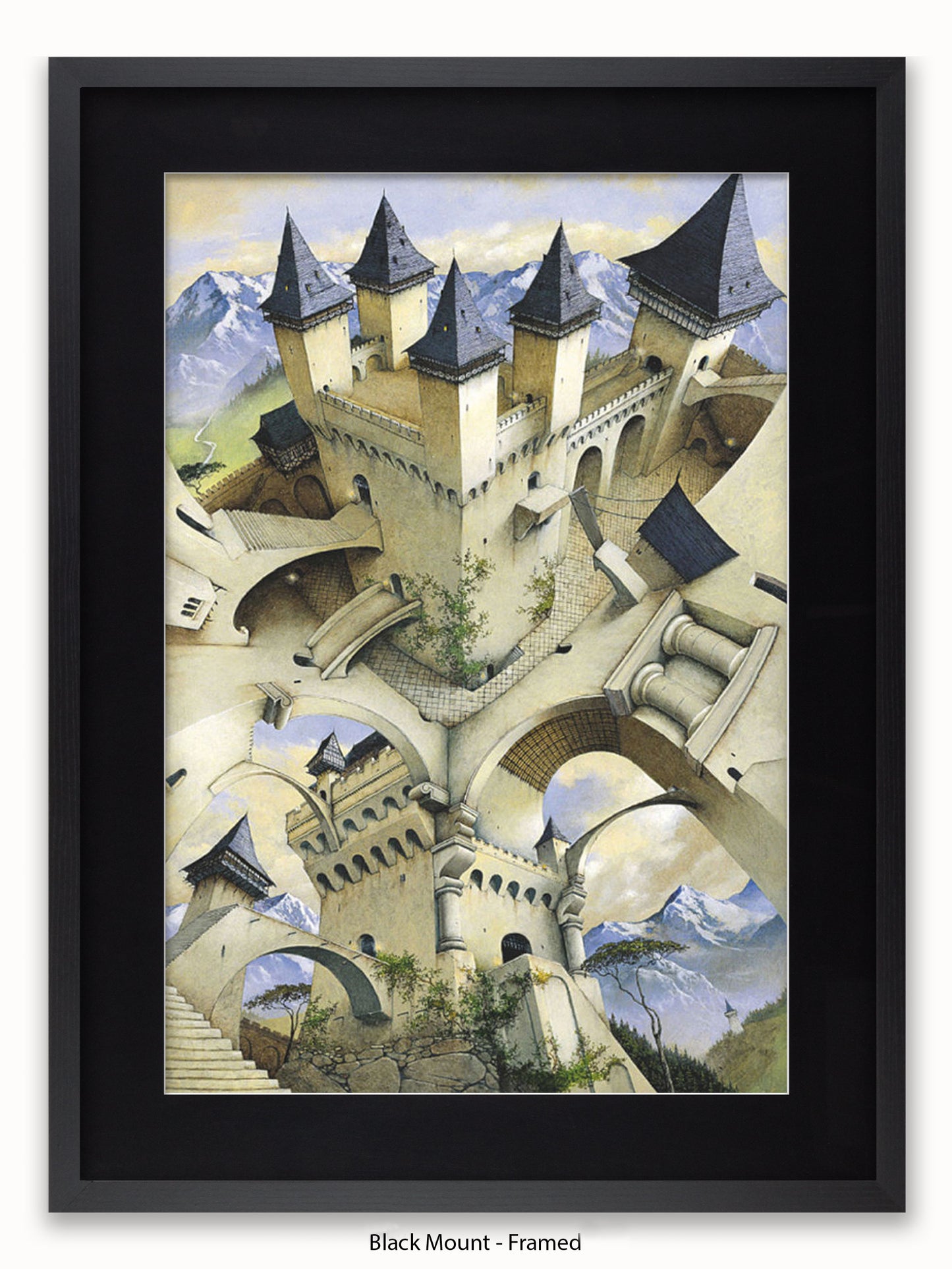 Irvine Peacock Castle Of Illusion Poster