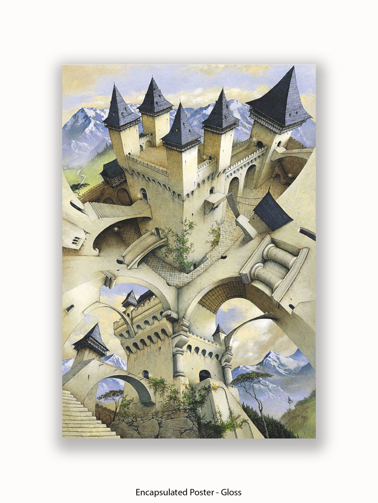 Irvine Peacock Castle Of Illusion Poster