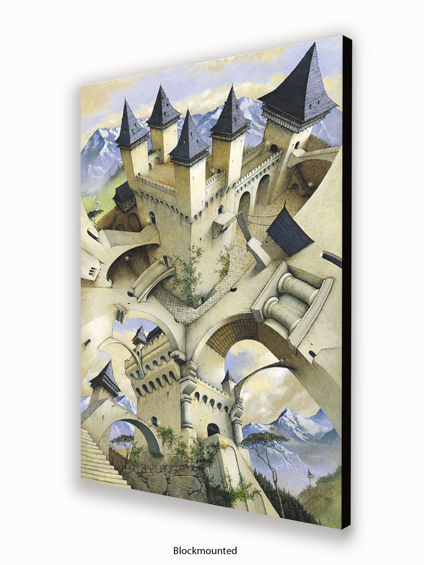 Irvine Peacock Castle Of Illusion Poster