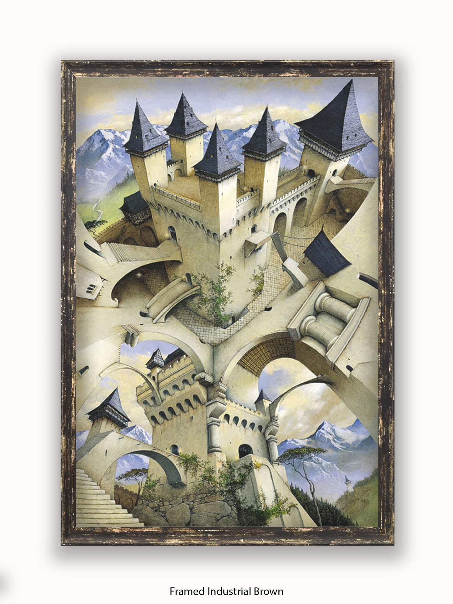 Irvine Peacock Castle Of Illusion Poster