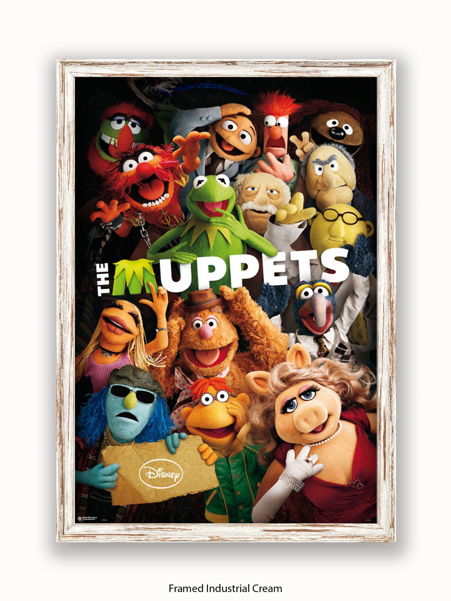 Muppets Characters Poster