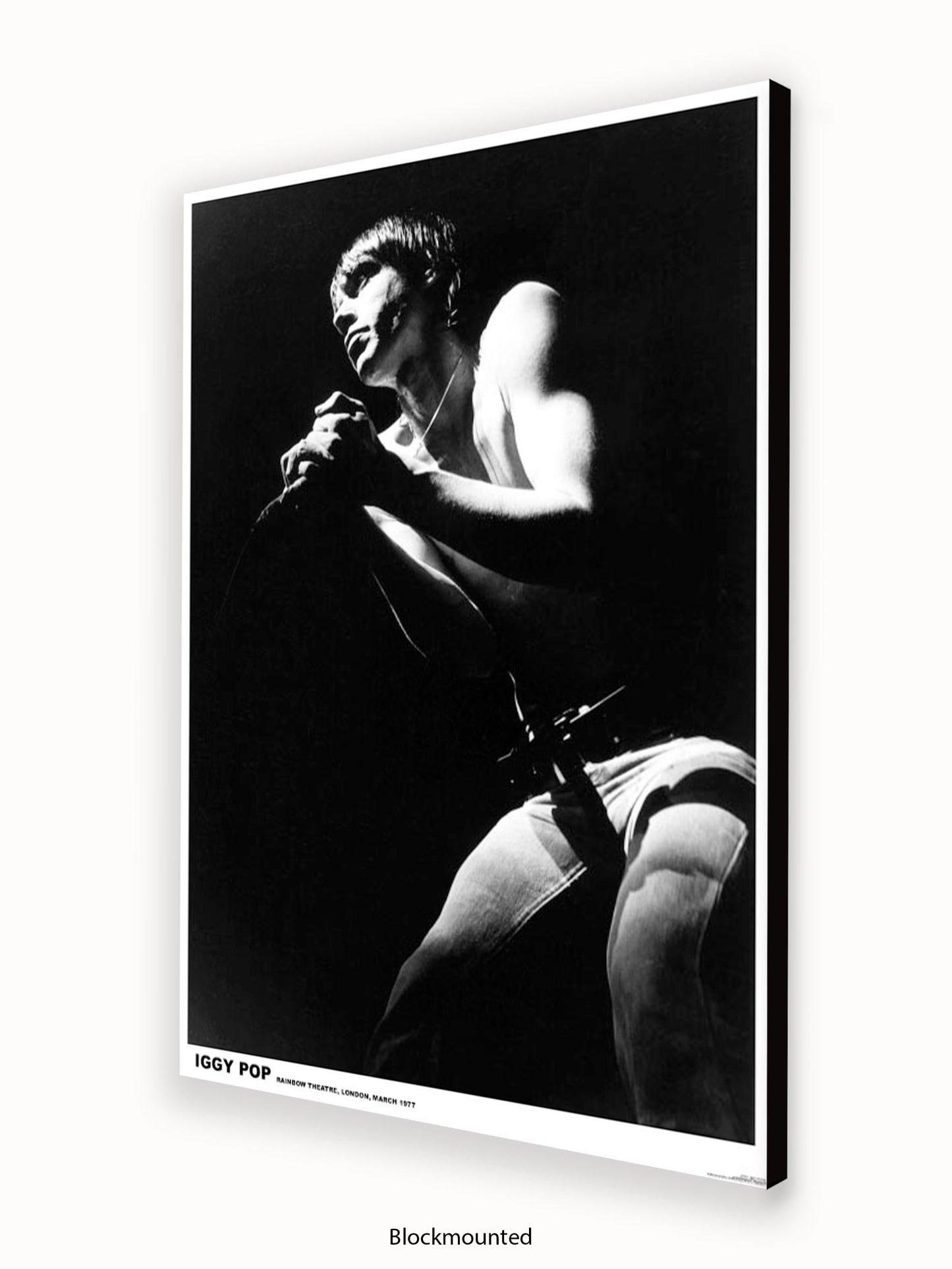 Iggy Pop - Rainbow Theatre - London March 1977 Poster