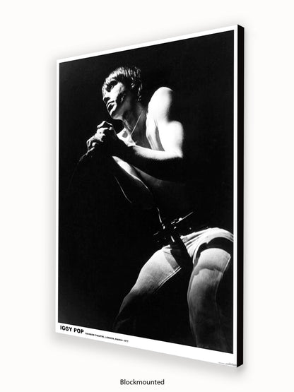 Iggy Pop - Rainbow Theatre - London March 1977 Poster