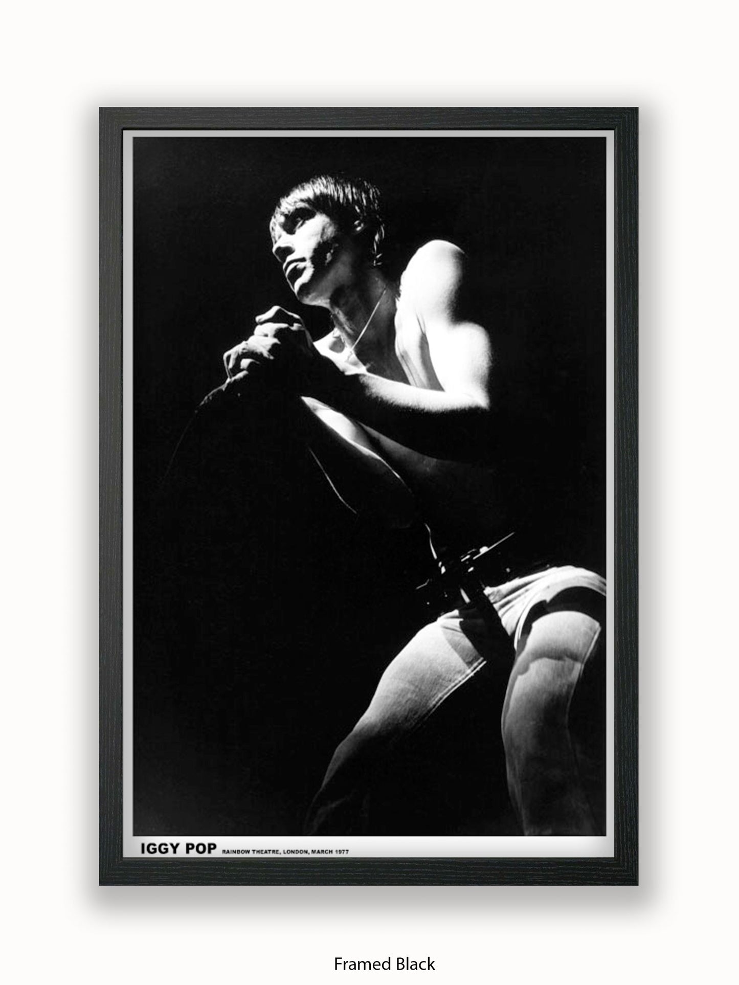 Iggy Pop - Rainbow Theatre - London March 1977 Poster