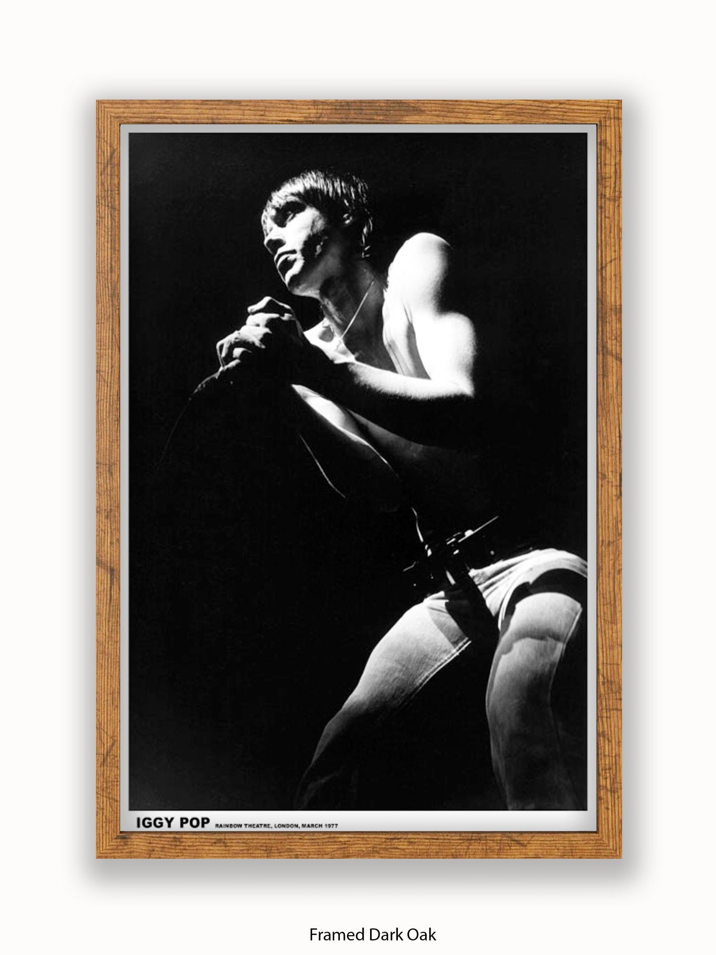 Iggy Pop - Rainbow Theatre - London March 1977 Poster