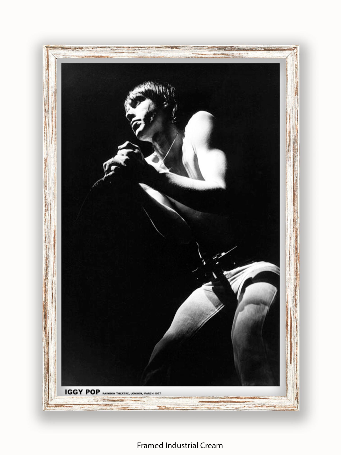 Iggy Pop - Rainbow Theatre - London March 1977 Poster