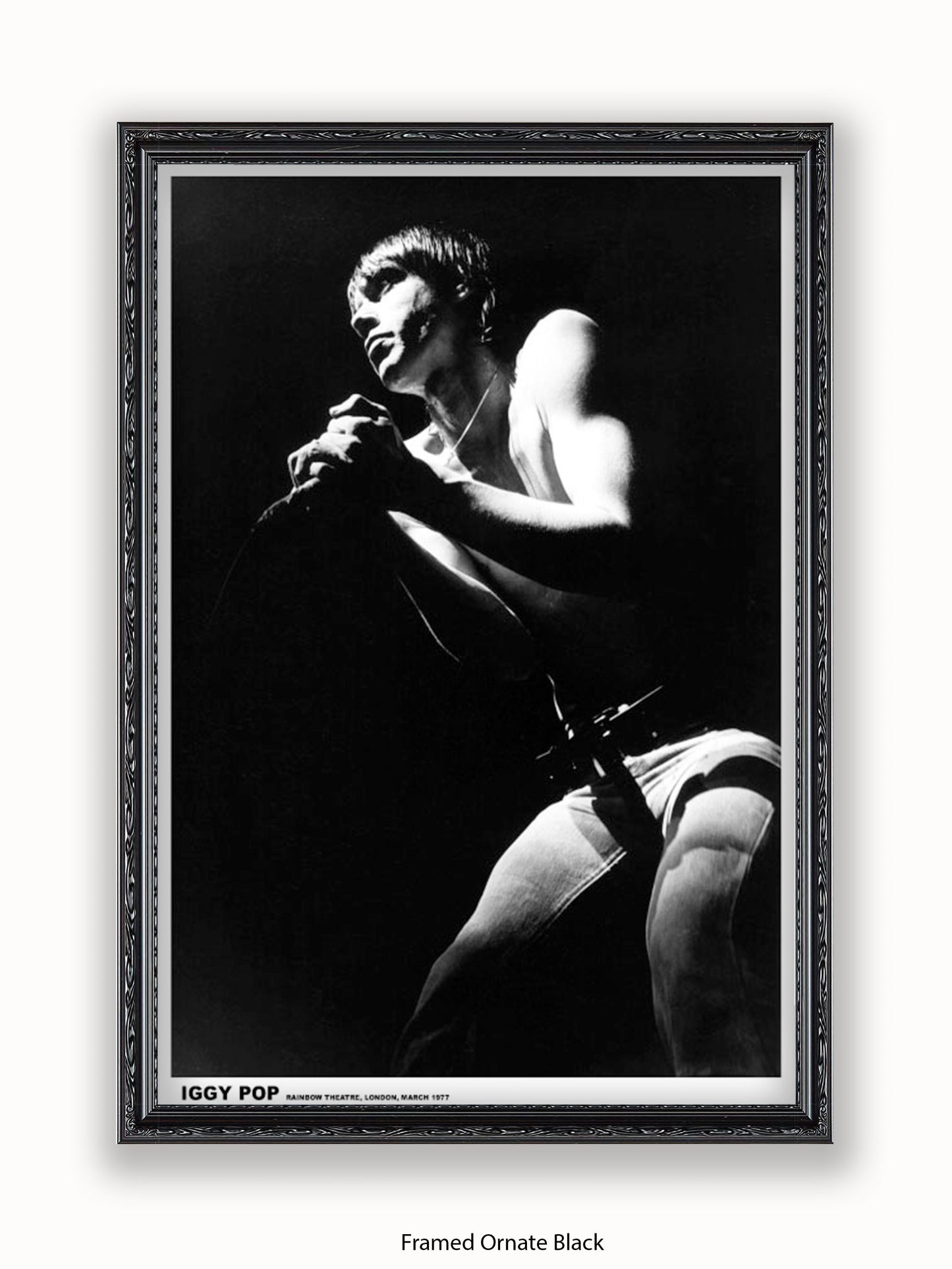 Iggy Pop - Rainbow Theatre - London March 1977 Poster