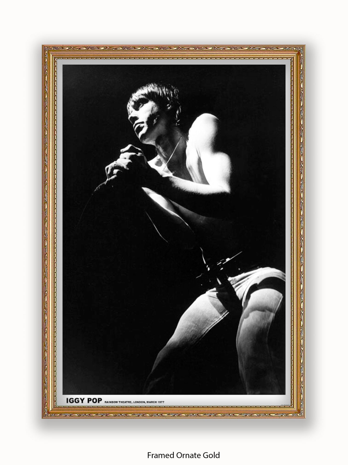 Iggy Pop - Rainbow Theatre - London March 1977 Poster