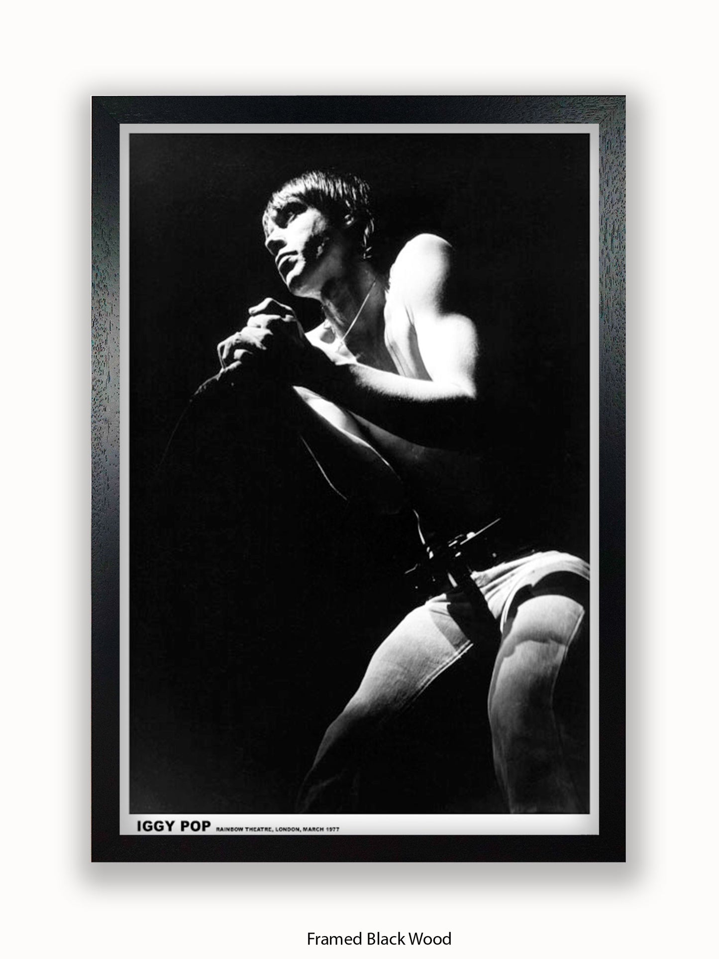 Iggy Pop - Rainbow Theatre - London March 1977 Poster