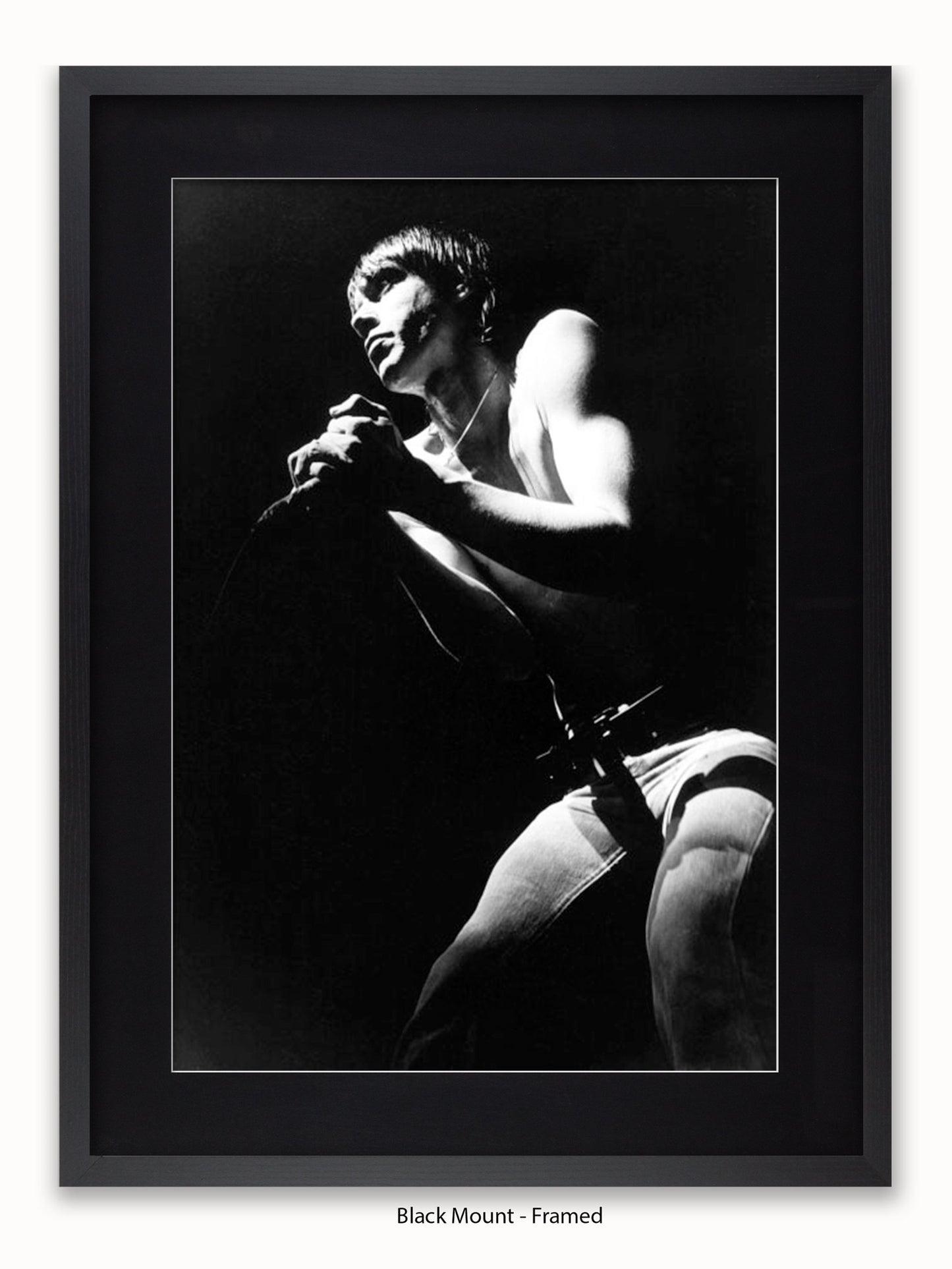 Iggy Pop - Rainbow Theatre - London March 1977 Poster