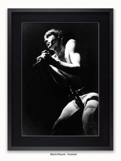 Iggy Pop - Rainbow Theatre - London March 1977 Poster