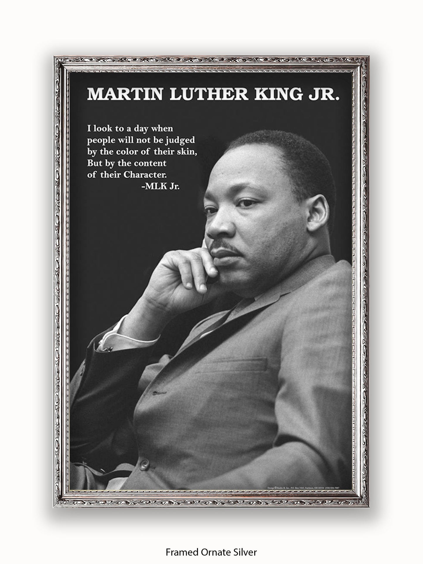 Martin Luther King Jr Poster