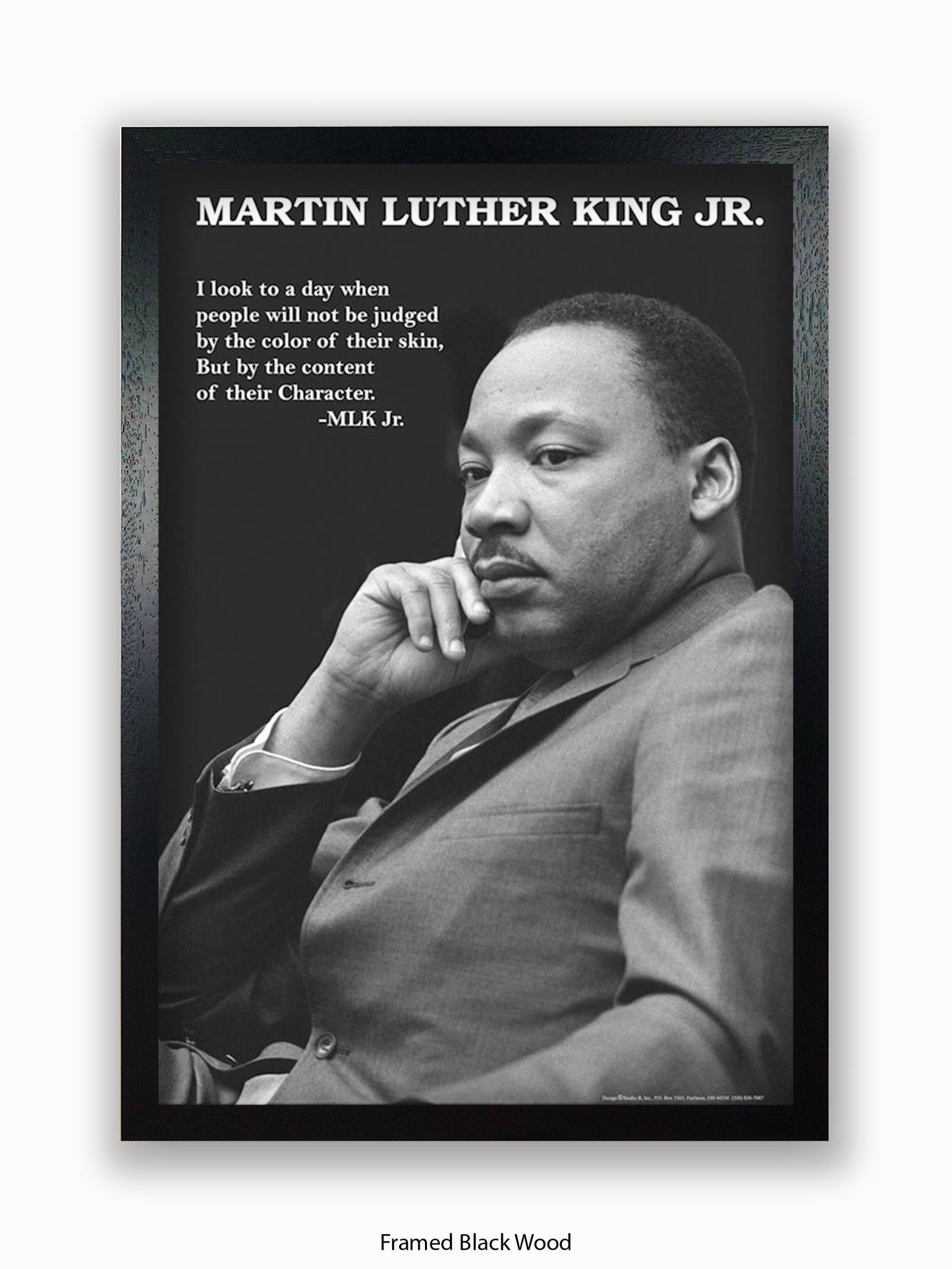 Martin Luther King Jr Poster