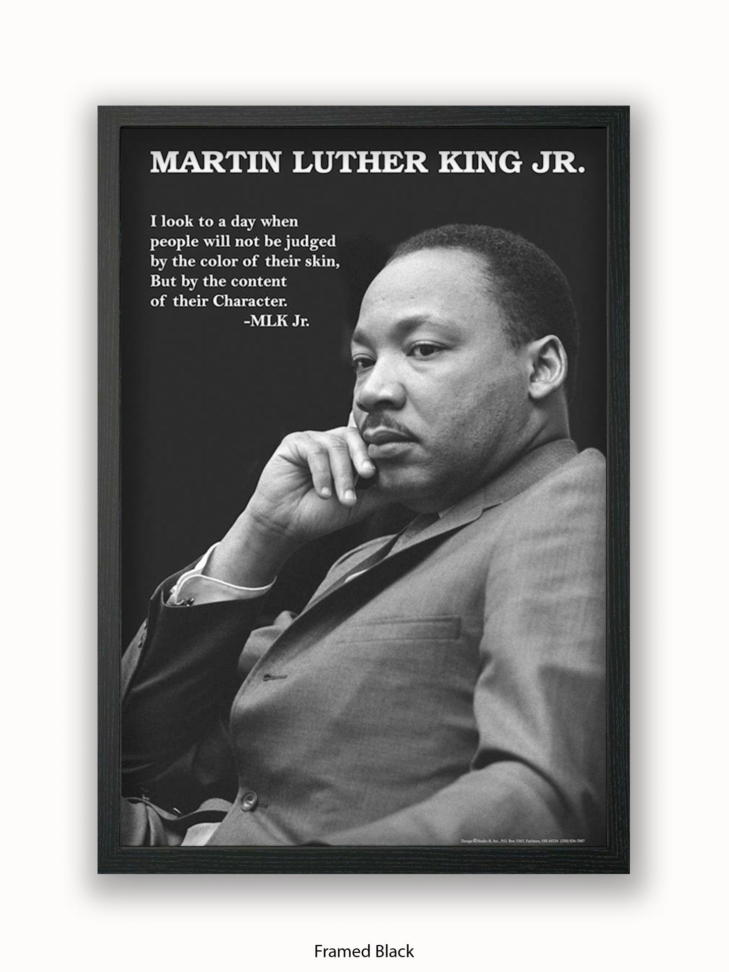 Martin Luther King Jr Poster