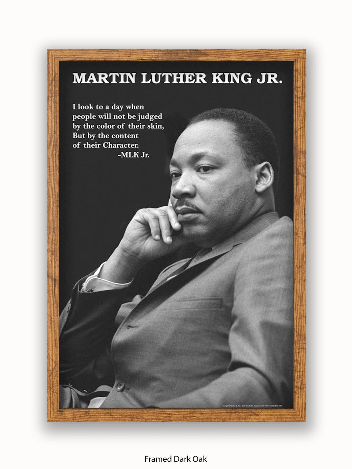 Martin Luther King Jr Poster
