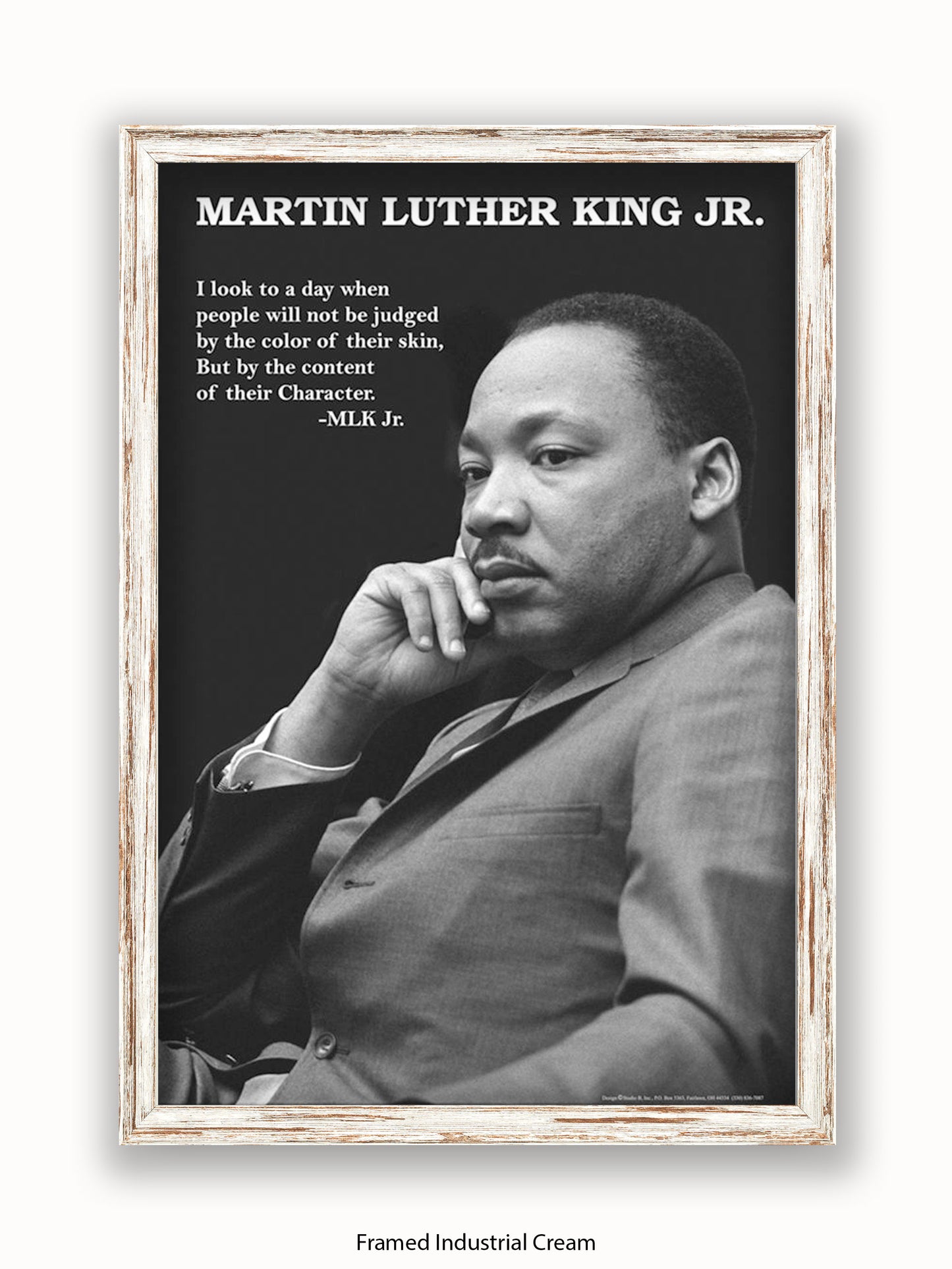 Martin Luther King Jr Poster
