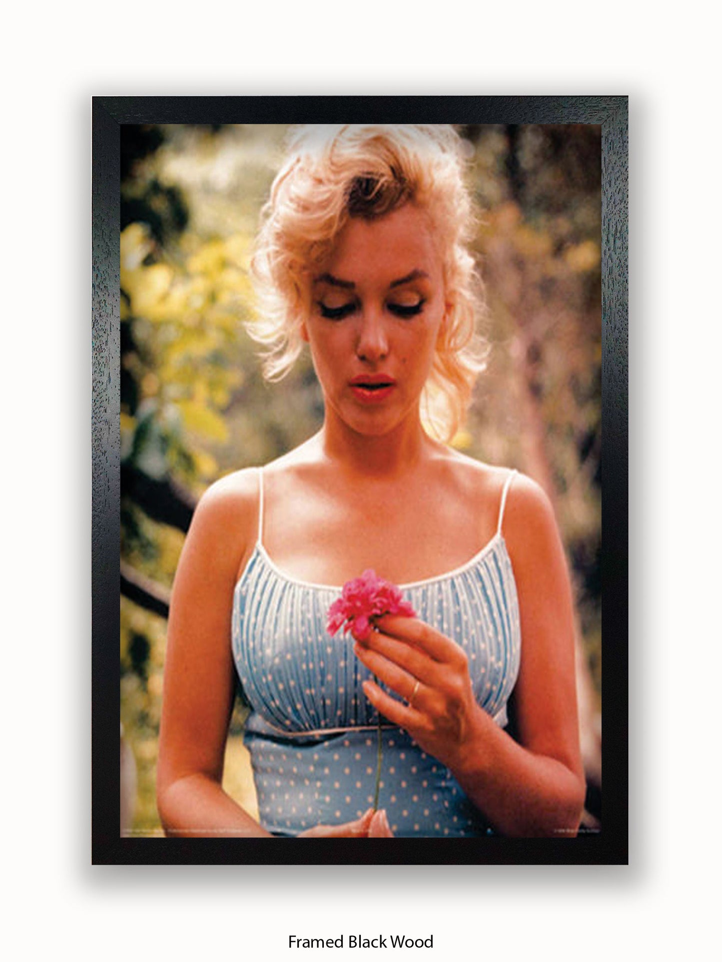 Marilyn Monroe Flower Poster