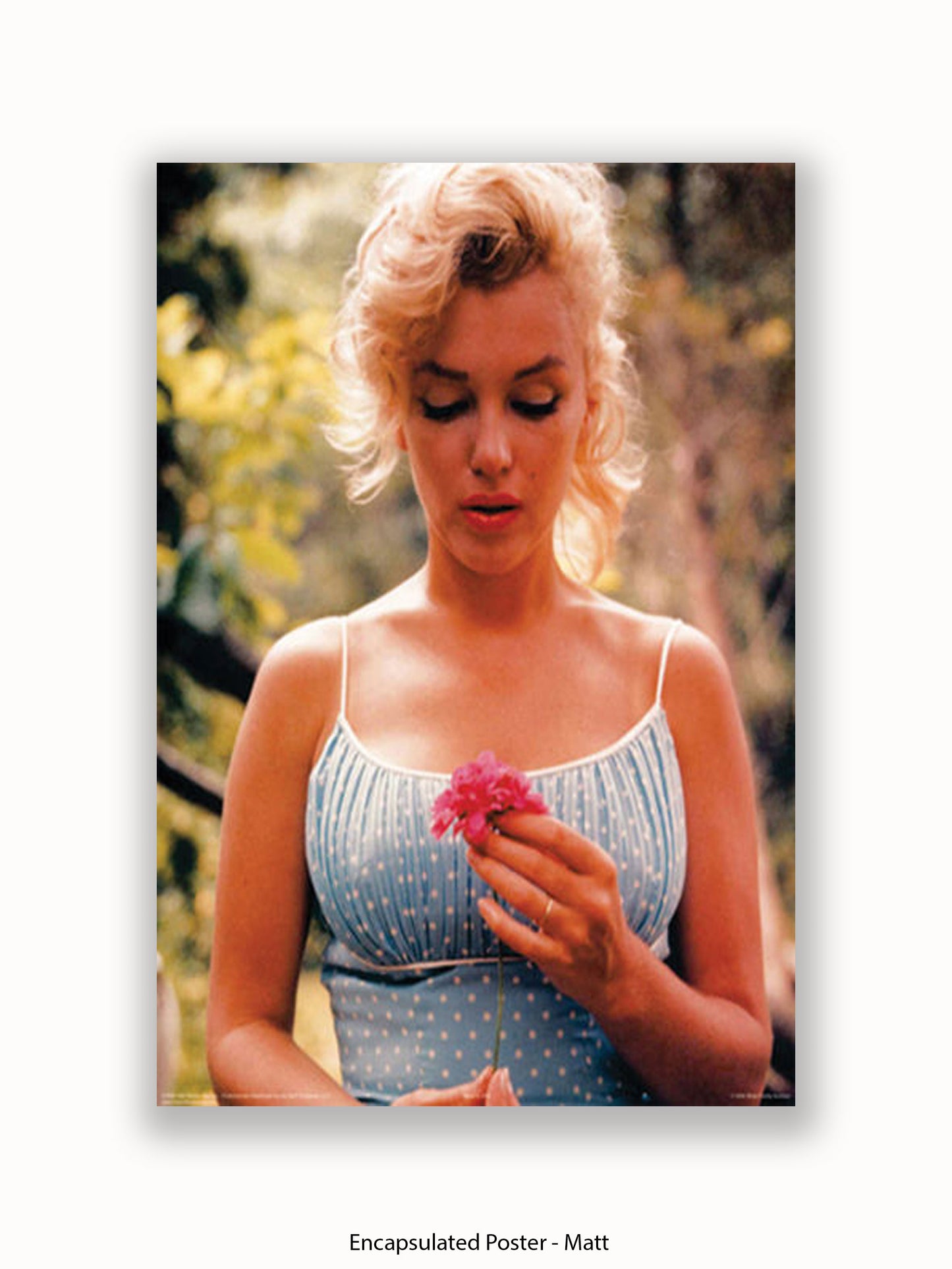 Marilyn Monroe Flower Poster
