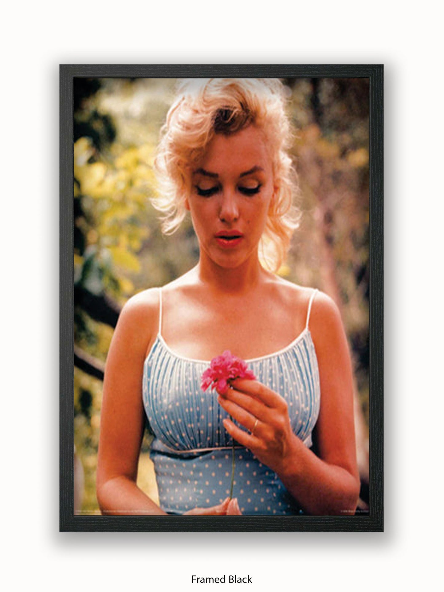 Marilyn Monroe Flower Poster
