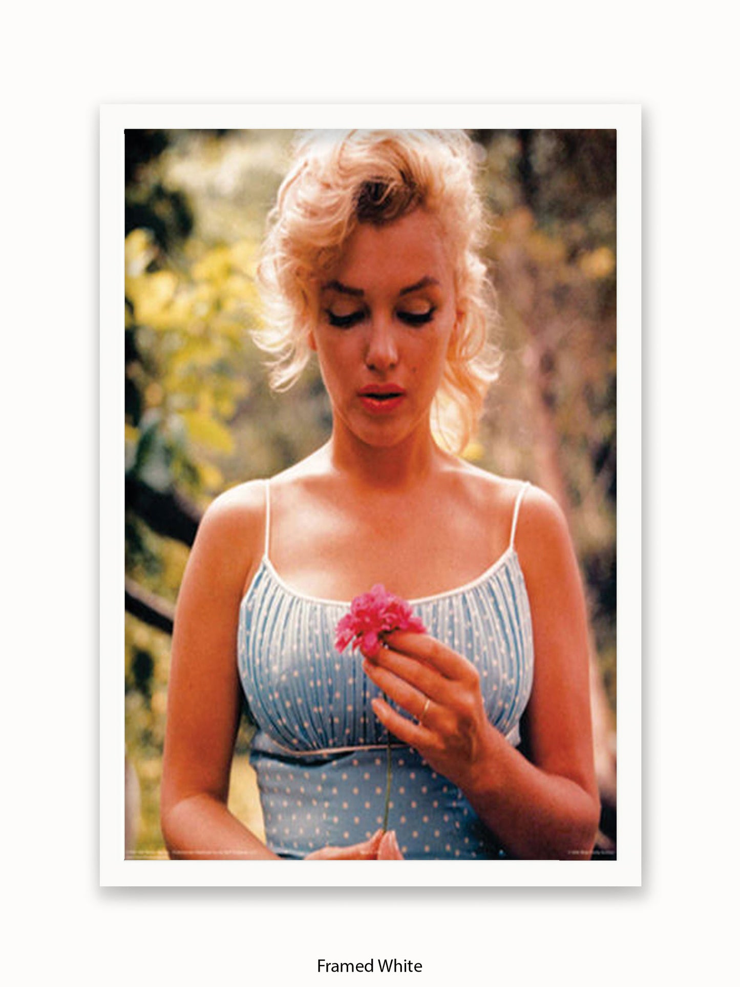 Marilyn Monroe Flower Poster