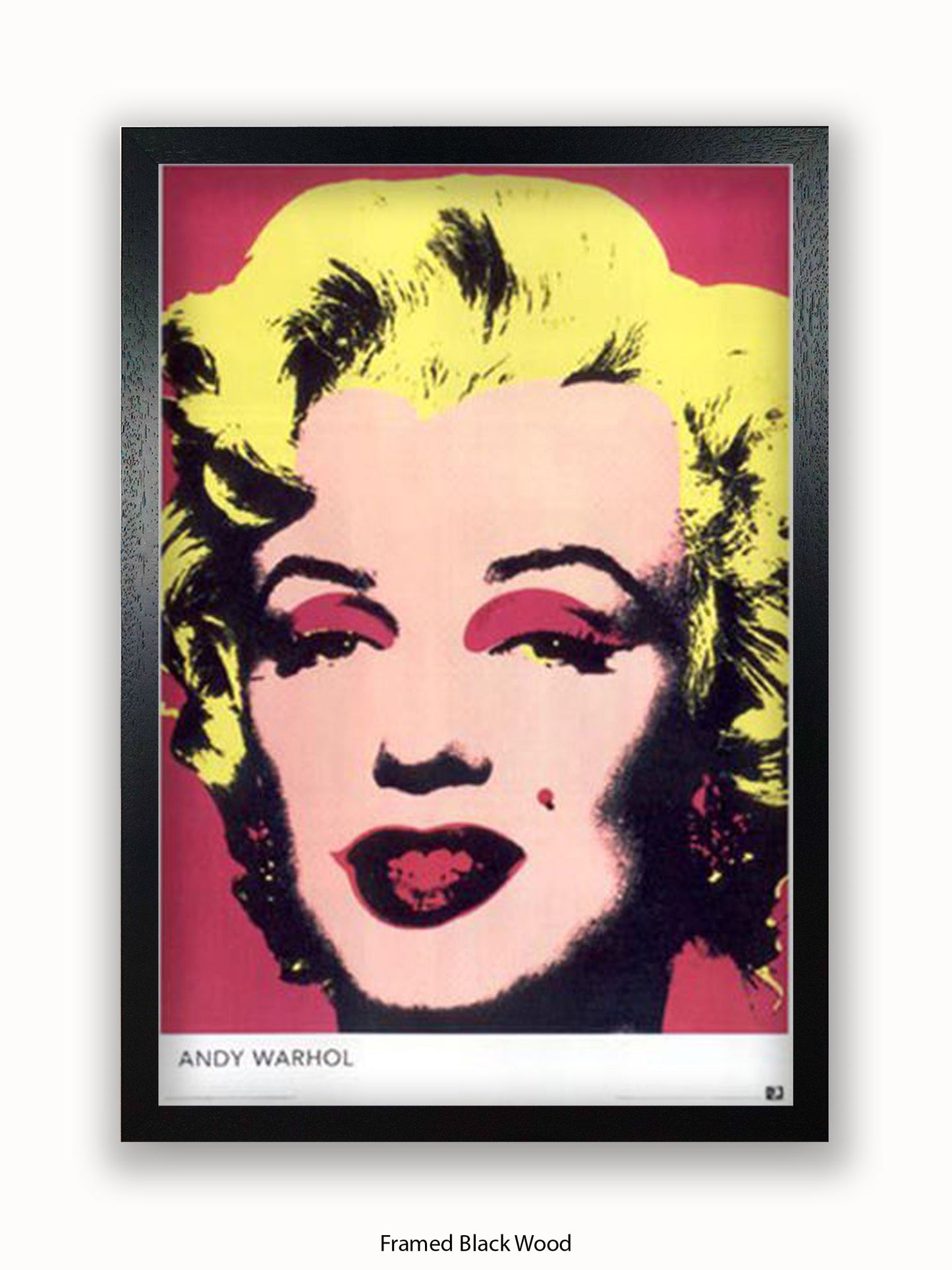 Marilyn Monroe Andy Warhol Pop Art Poster