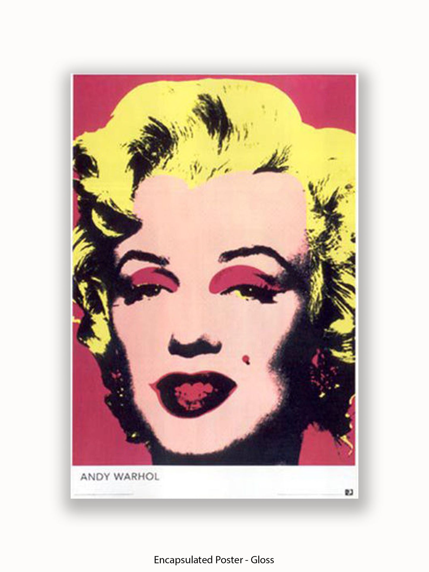 Marilyn Monroe Andy Warhol Pop Art Poster