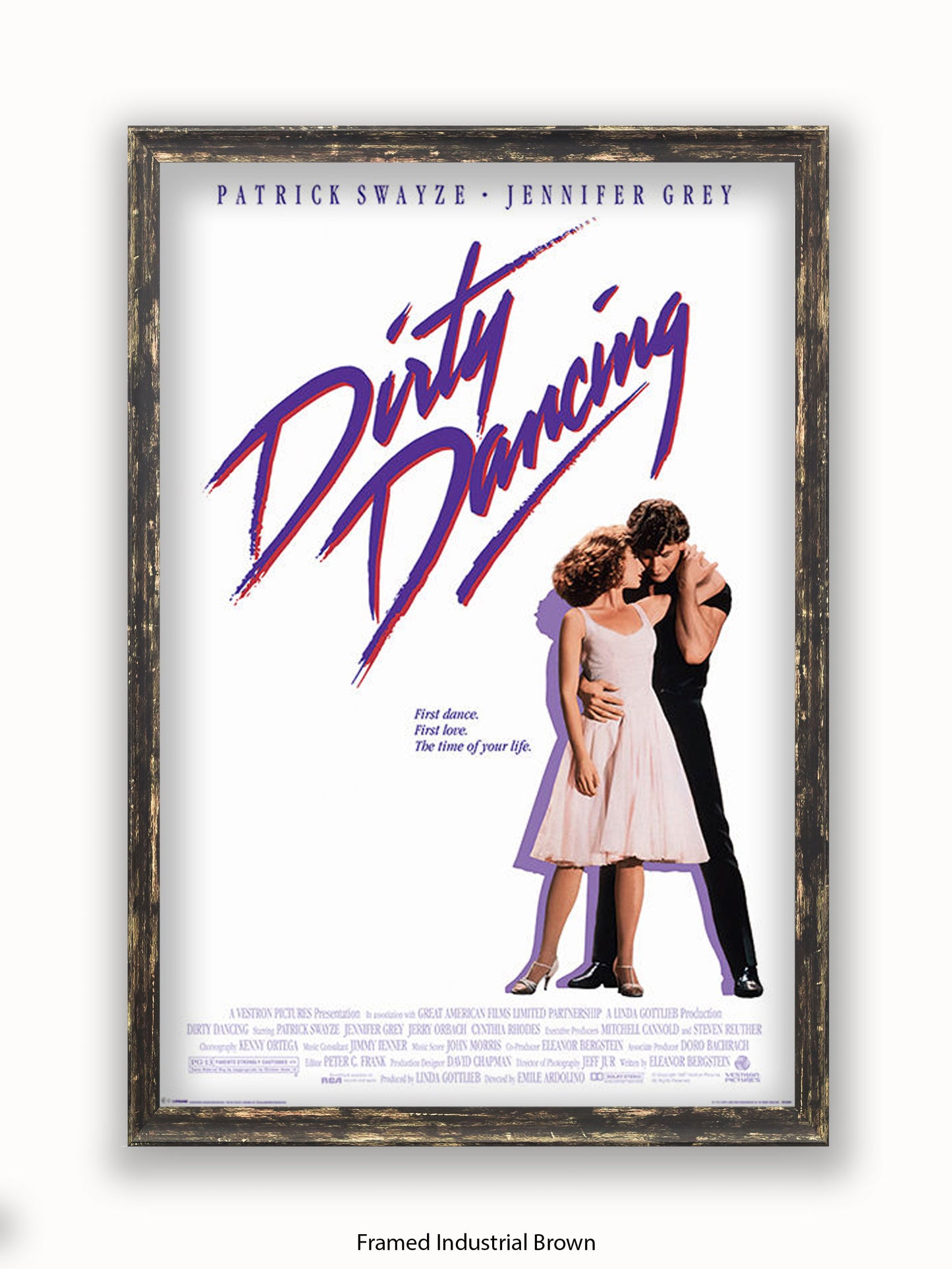 Dirty Dancing Film Promo Poster